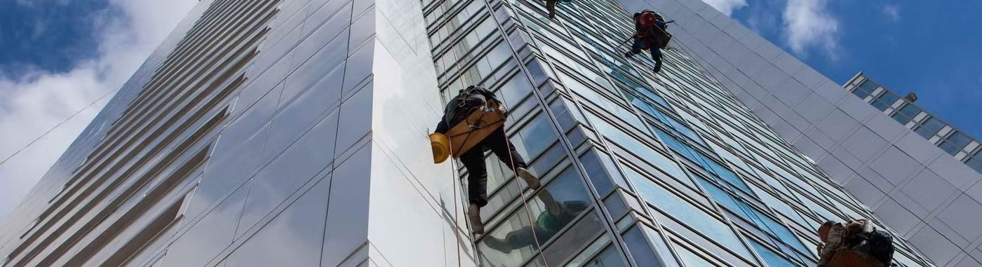 Window cleaners rappelling down modern building